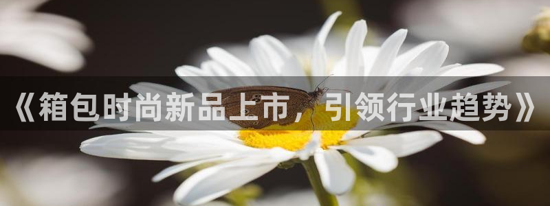 恒达娱乐辉70667