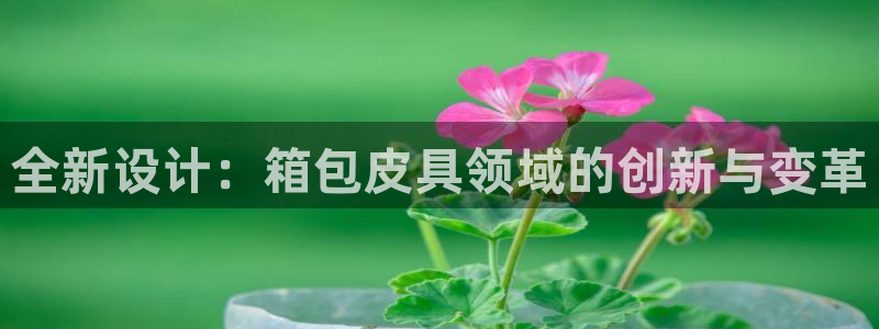 专业辉达娱乐在线游戏