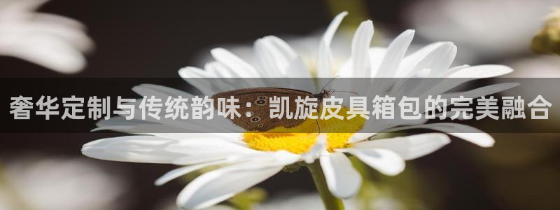 辉达娱乐下载