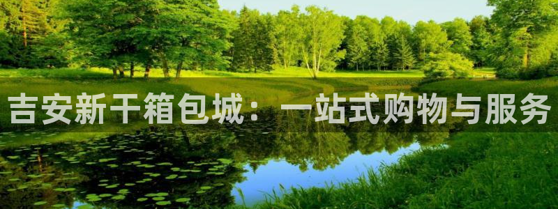 辉达娱乐加扣75775