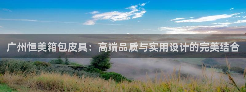 达利娱乐王辉