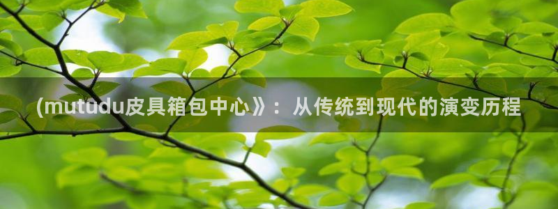 辉达娱乐