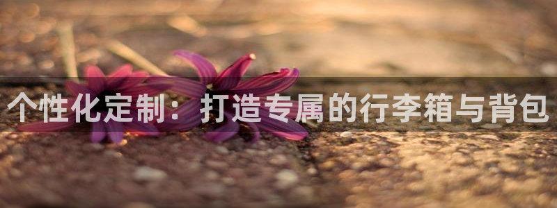 辉达娱乐时时彩