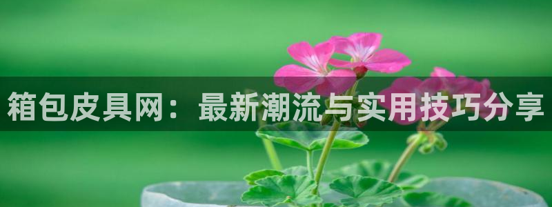 辉达娱乐广东11选5