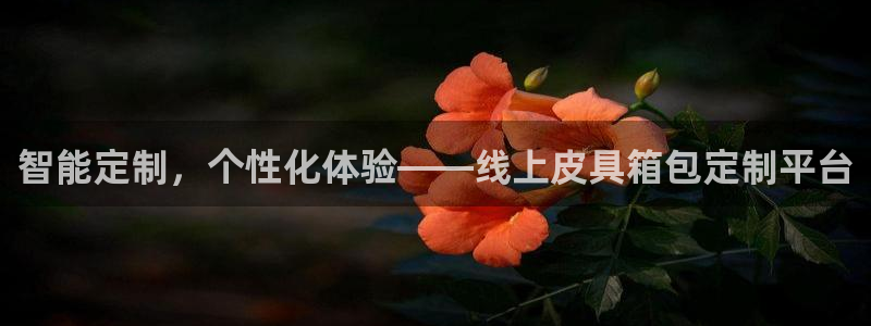 辉达平台官网电话