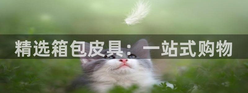 辉达娱乐开户注册