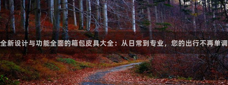 菲律宾辉达娱乐