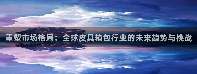 龙腾辉达电子娱乐