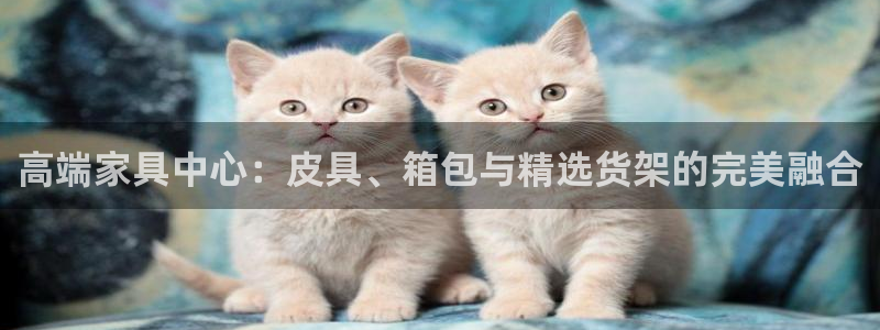 辉达娱乐ag游戏平台