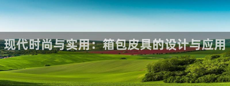 辉达娱乐属于什么档次