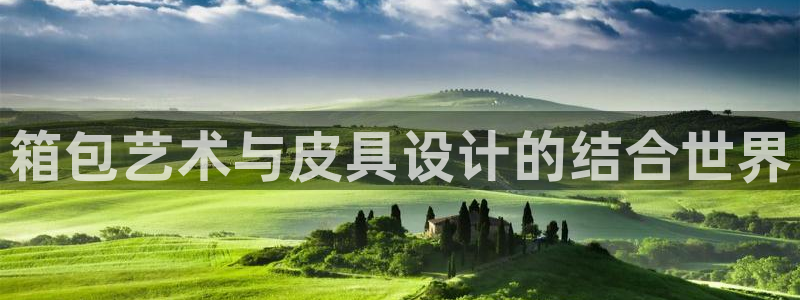 辉达娱乐分红