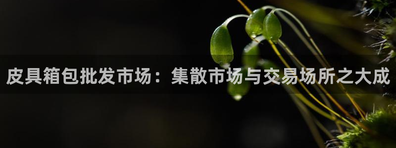 正规辉达娱乐开户注册