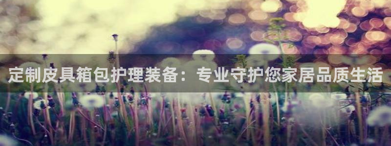 辉达娱乐计划软件