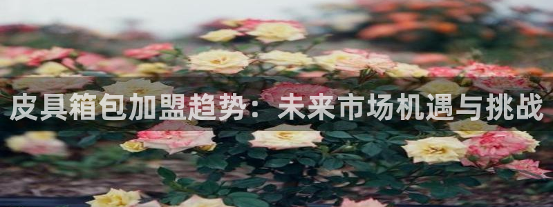 辉达娱乐丶39444