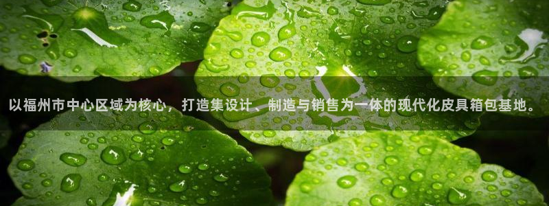 辉达娱乐电子