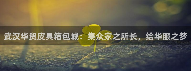辉达娱乐多少年
