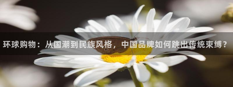 辉达娱乐最新消息新闻