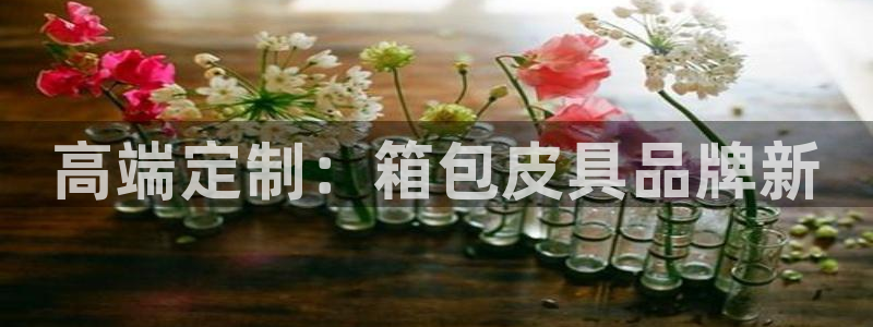 辉达娱乐加q75775