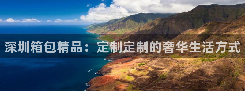 辉达娱乐计划软件
