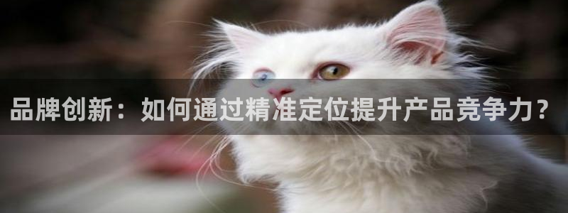 辉达娱乐重庆时时彩注册