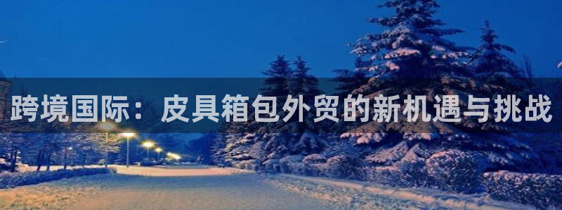 辉达娱乐多少年