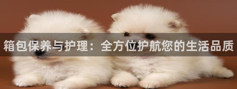 信誉辉达娱乐在线游戏