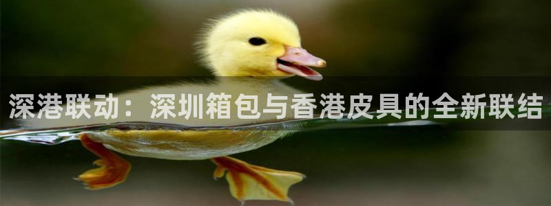 辉达娱乐开户注册