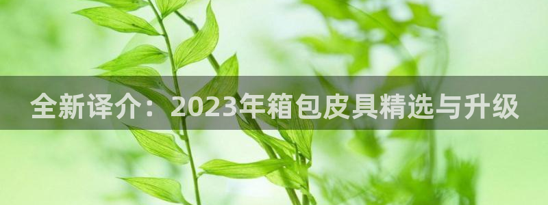 辉达平台官网登录