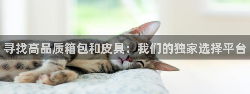 辉达娱乐己75505