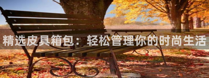 辉达怎么样