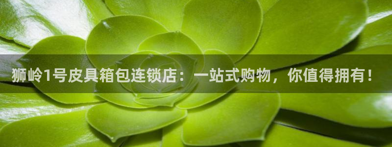 辉达娱乐加q75775稳定
