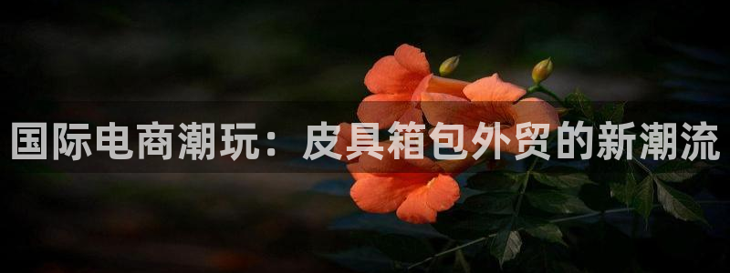 辉达平台官网下载
