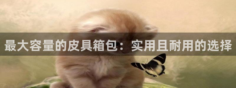 信誉辉达娱乐官方网址