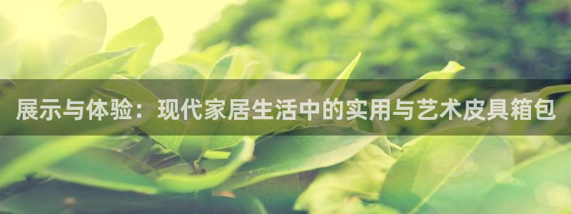 辉达娱乐网址