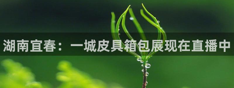 辉达平台注册流程