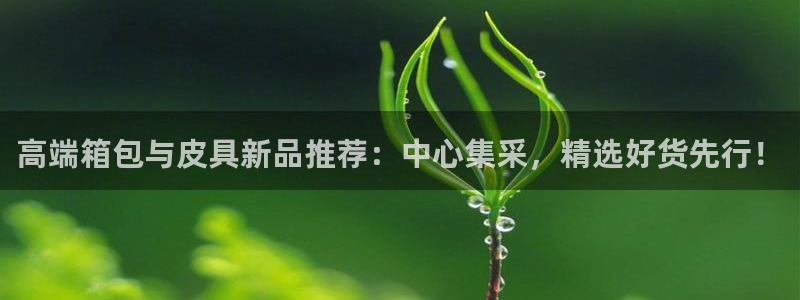 信誉辉达娱乐在线游戏