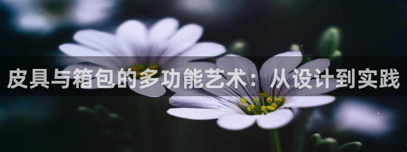 辉达娱乐最新版本更新内容