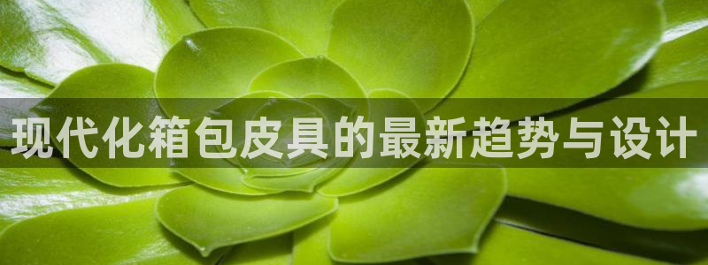 辉达娱乐加扣75775