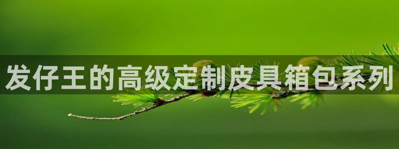 辉达平台注册资金多少