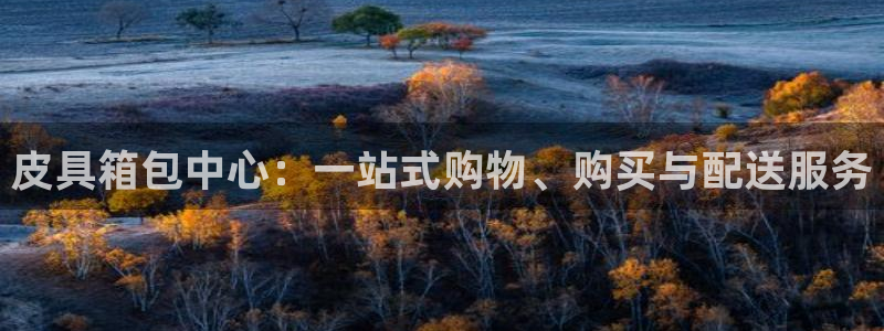 辉达平台官网电话