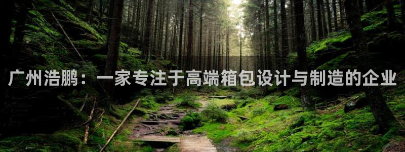 代理辉达娱乐官方网址