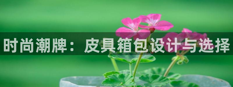 辉达娱乐ag游戏平台