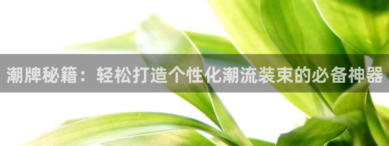 辉达官网登录入口入口