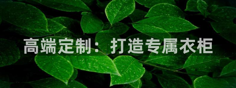 辉达娱乐正规吗