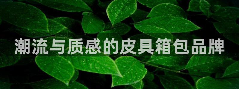 辉达娱乐开户注册