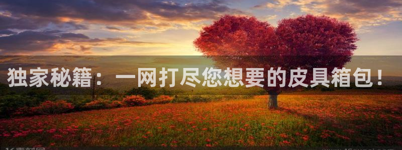 辉达平台注册资金多少