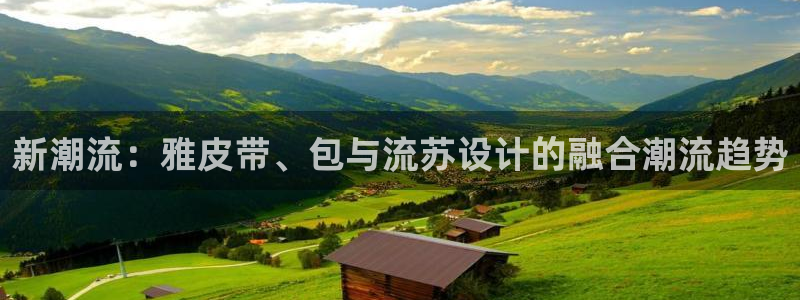 辉达娱乐多少年