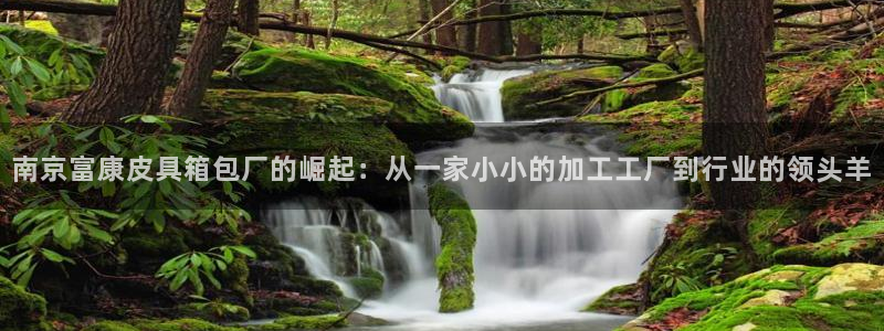 辉达娱乐官方网址