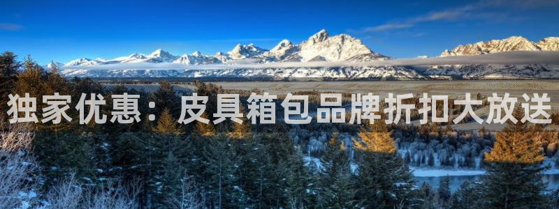 辉达平台官网电话