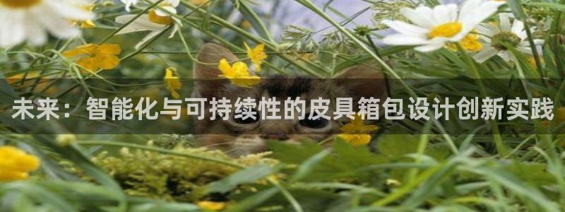 辉达娱乐正规吗